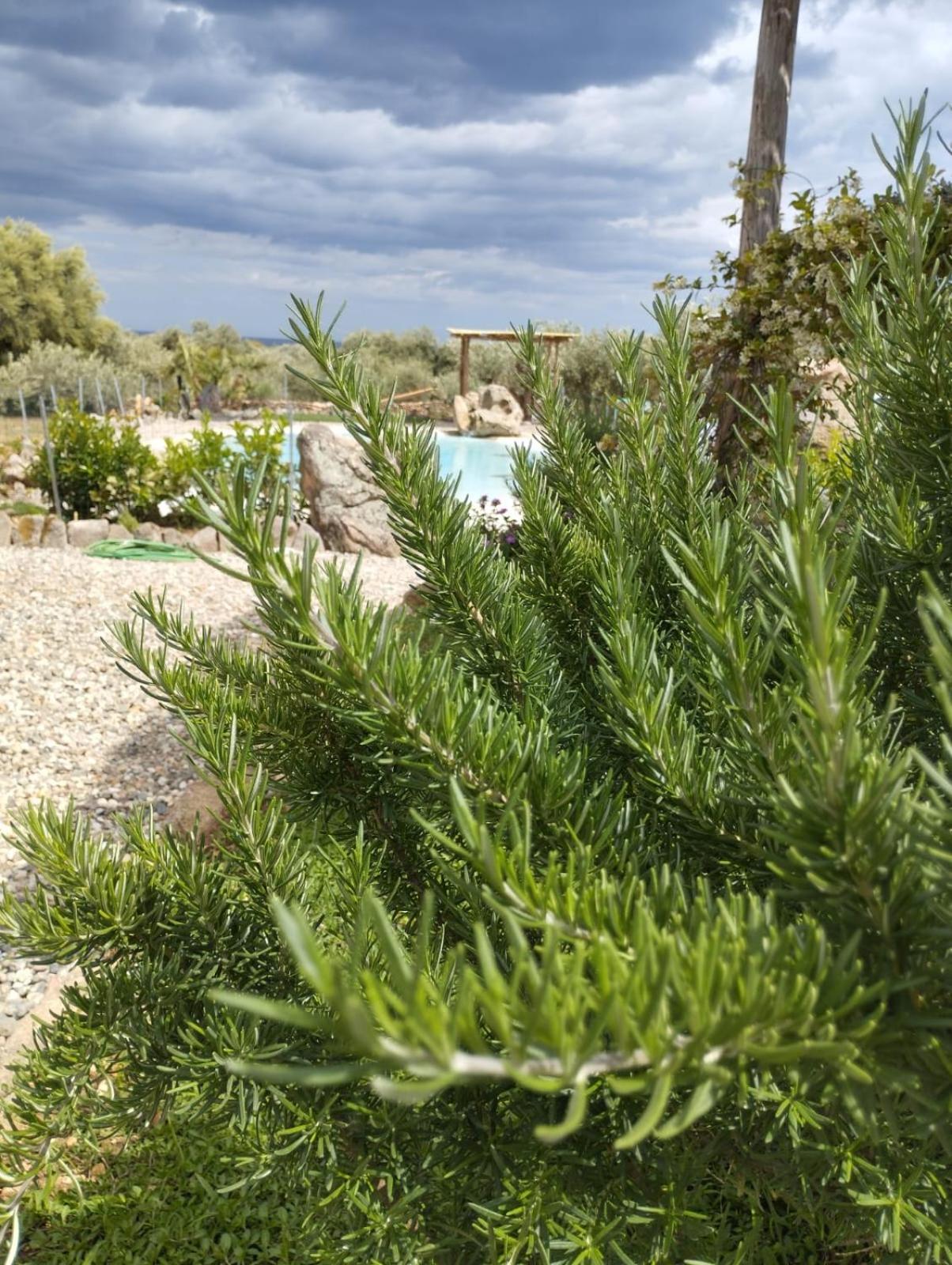 Casa vacanze Cuccuru Relax - B